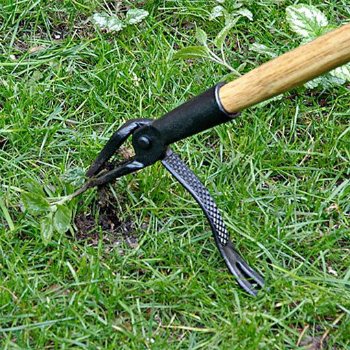 4-Claw Steel Wild Plant Puller